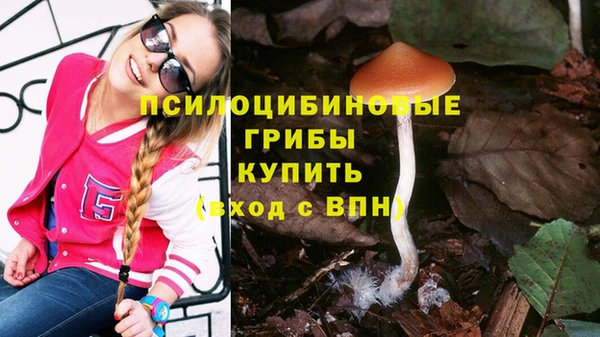 jwh Ельня